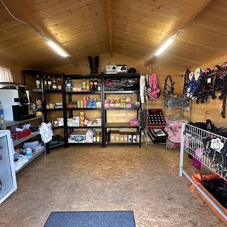 Fewo Im Reit- Und Ponyparadies Roos Halle  Luaran gambar