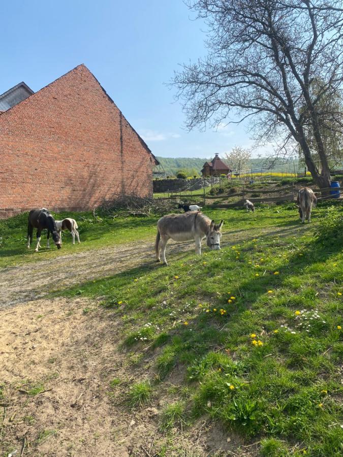 Fewo Im Reit- Und Ponyparadies Roos Halle  Luaran gambar