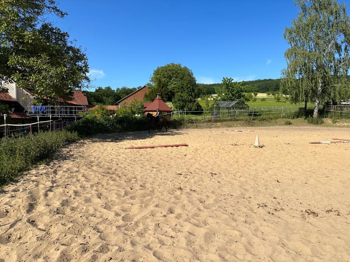 Fewo Im Reit- Und Ponyparadies Roos Halle  Luaran gambar