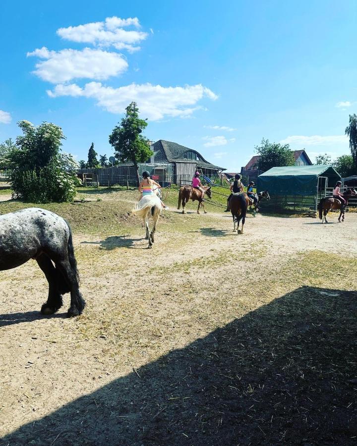 Fewo Im Reit- Und Ponyparadies Roos Halle  Luaran gambar