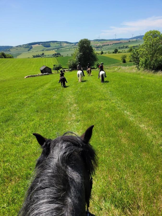 Fewo Im Reit- Und Ponyparadies Roos Halle  Luaran gambar