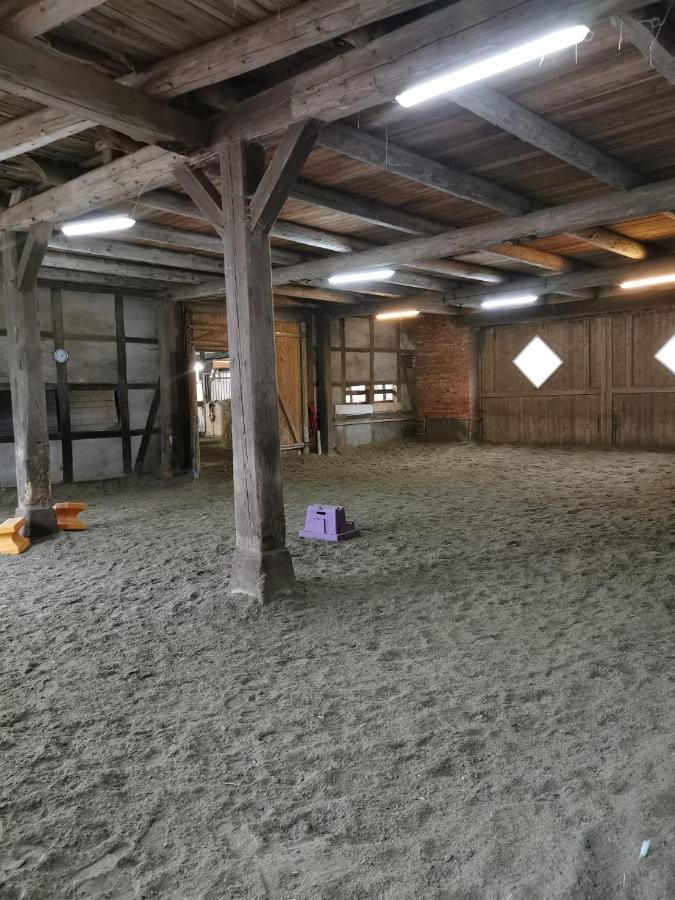 Fewo Im Reit- Und Ponyparadies Roos Halle  Luaran gambar