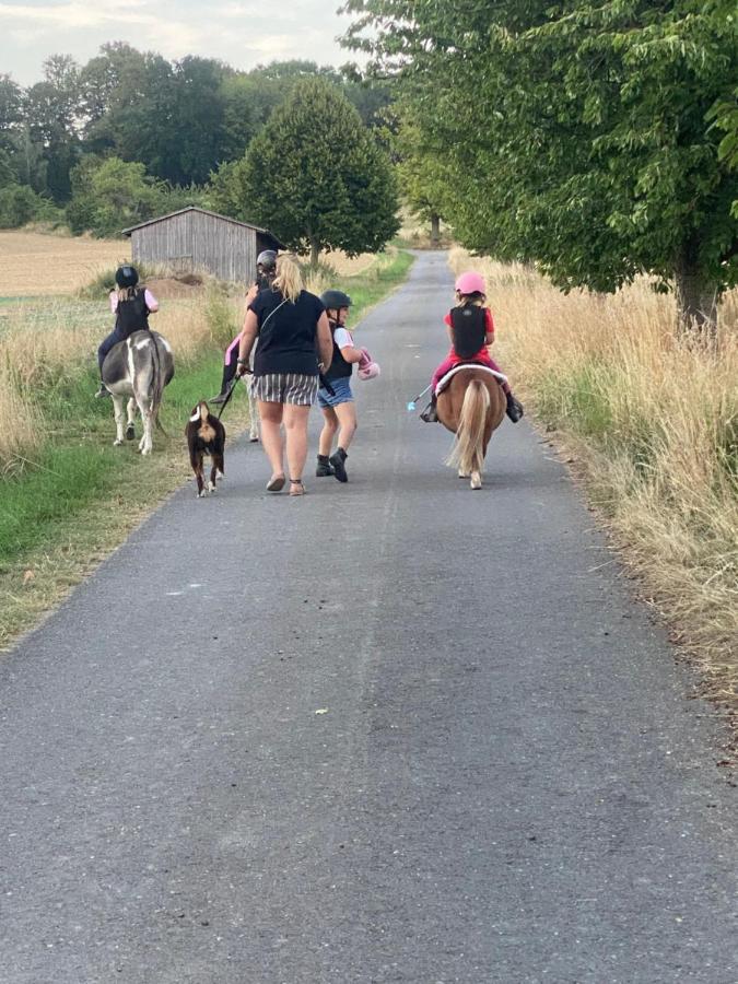 Fewo Im Reit- Und Ponyparadies Roos Halle  Luaran gambar