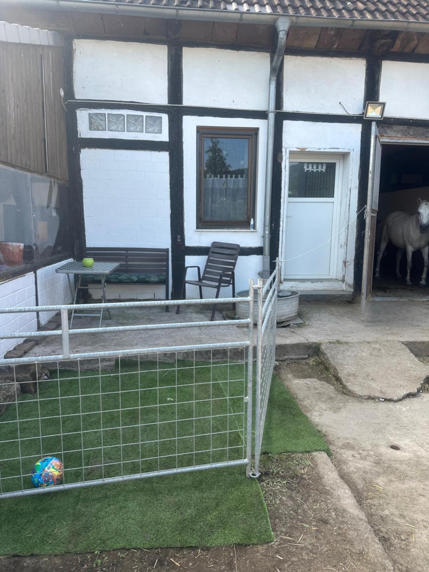 Fewo Im Reit- Und Ponyparadies Roos Halle  Luaran gambar