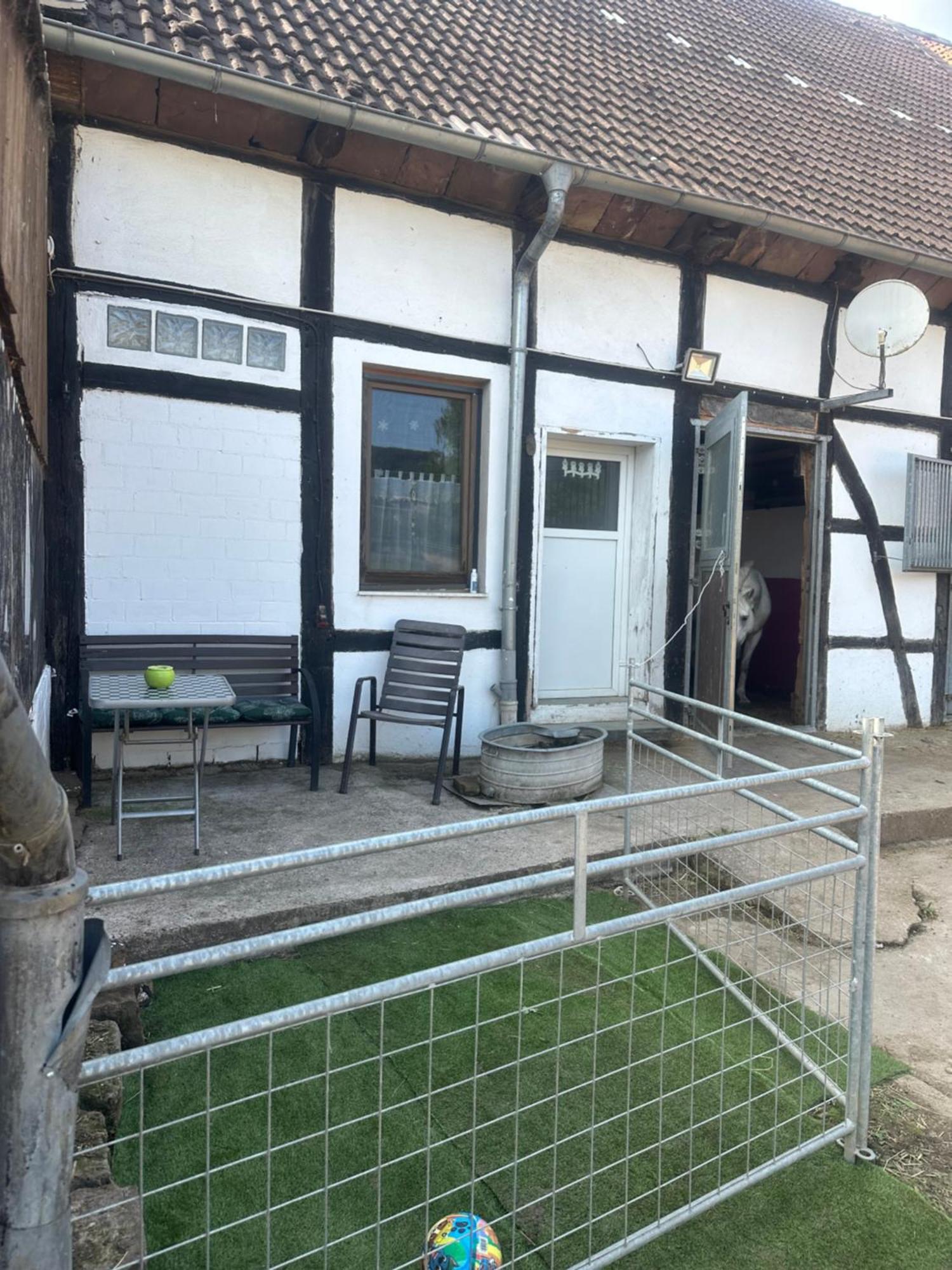 Fewo Im Reit- Und Ponyparadies Roos Halle  Luaran gambar